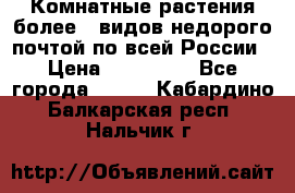 Комнатные растения более200видов недорого почтой по всей России › Цена ­ 100-500 - Все города  »    . Кабардино-Балкарская респ.,Нальчик г.